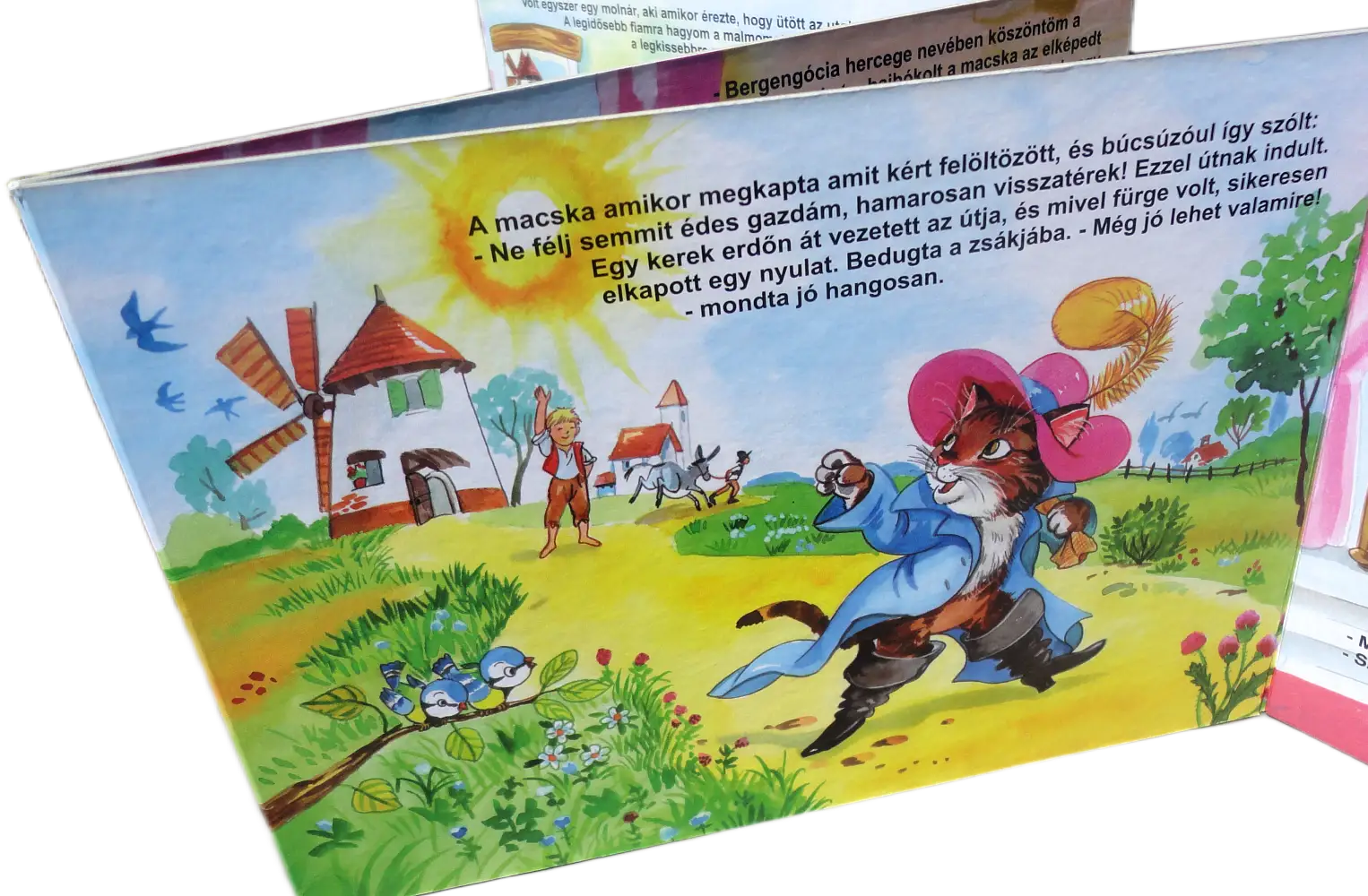 Csizmás kandúr - Image 2